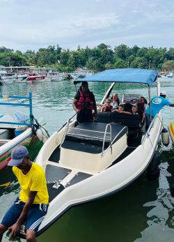 Whale Watching 3 Whale Watching