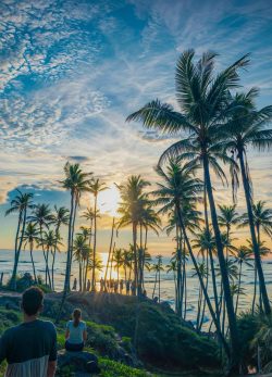 Whale Watching 5 Whale Watching