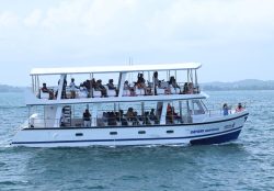 Whale Watching 2 Whale Watching